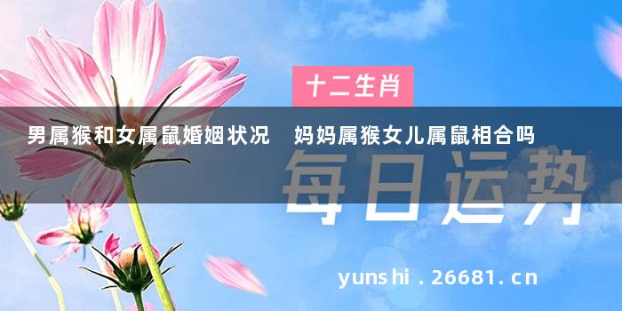 男属猴和女属鼠婚姻状况 妈妈属猴女儿属鼠相合吗